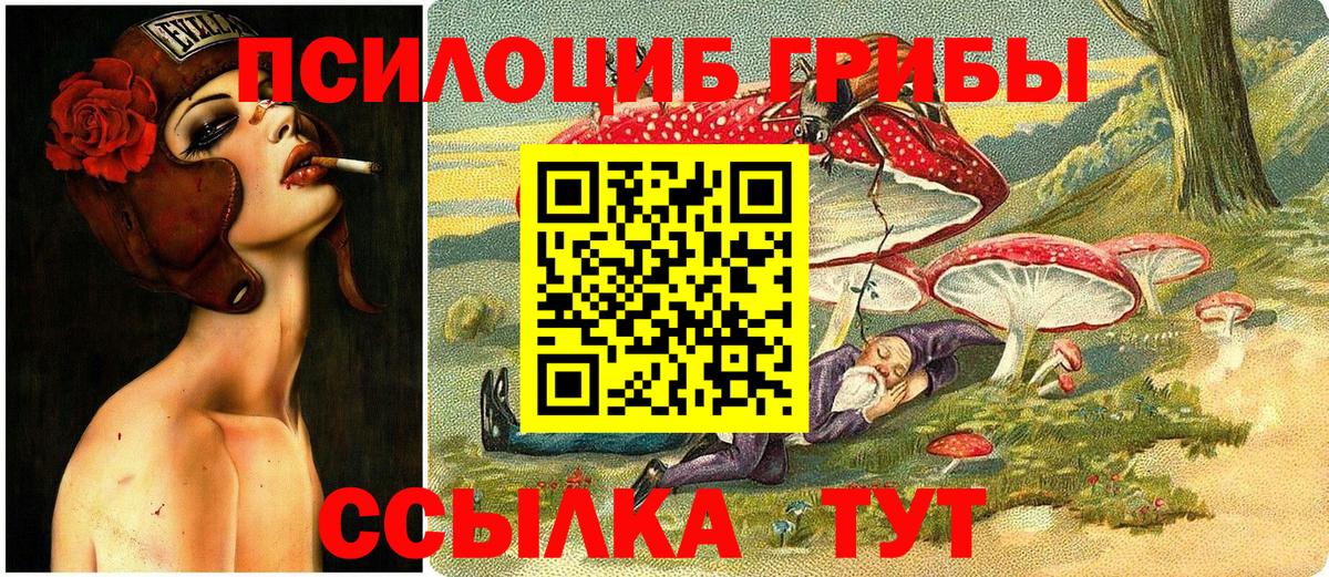 Псилоцибиновые грибы прущие грибы Курчалой