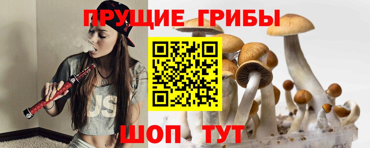 Курчалой  Псилоцибиновые грибы ЛСД  Вход с VPN 